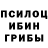 Псилоцибиновые грибы MAGIC MUSHROOMS _zhrv.a_