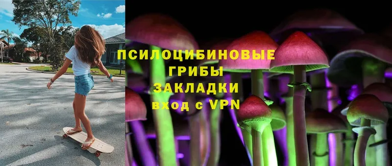 как найти закладки  Мичуринск  Галлюциногенные грибы Psilocybe 