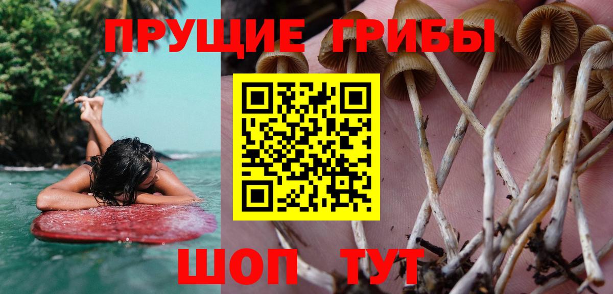 Псилоцибиновые грибы прущие грибы Мичуринск