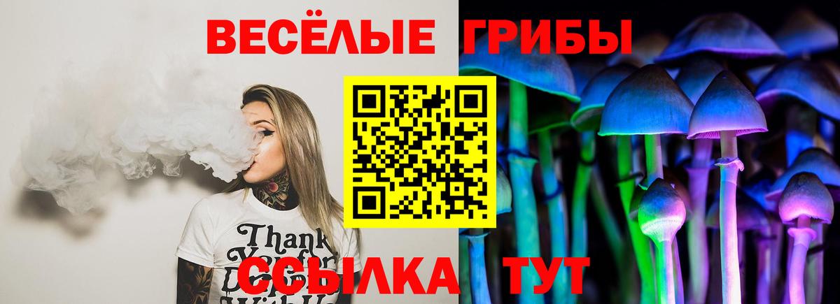 Где найти наркотики?  АМФЕТАМИН   Мичуринск  Мефедрон   Вход с VPN  ГАШ  МЕТ  МАРИХУАНА  МДМА  ГАШ 